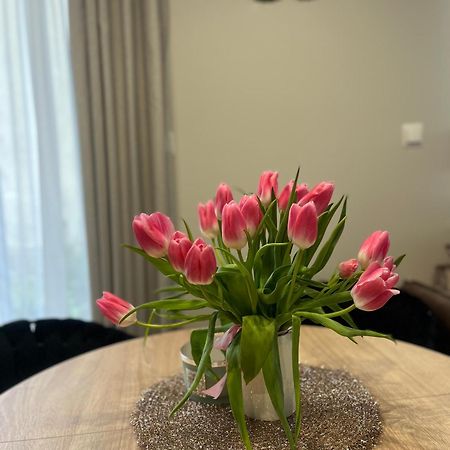 Apartament Kaszmirowy Bielsko-Biała Esterno foto