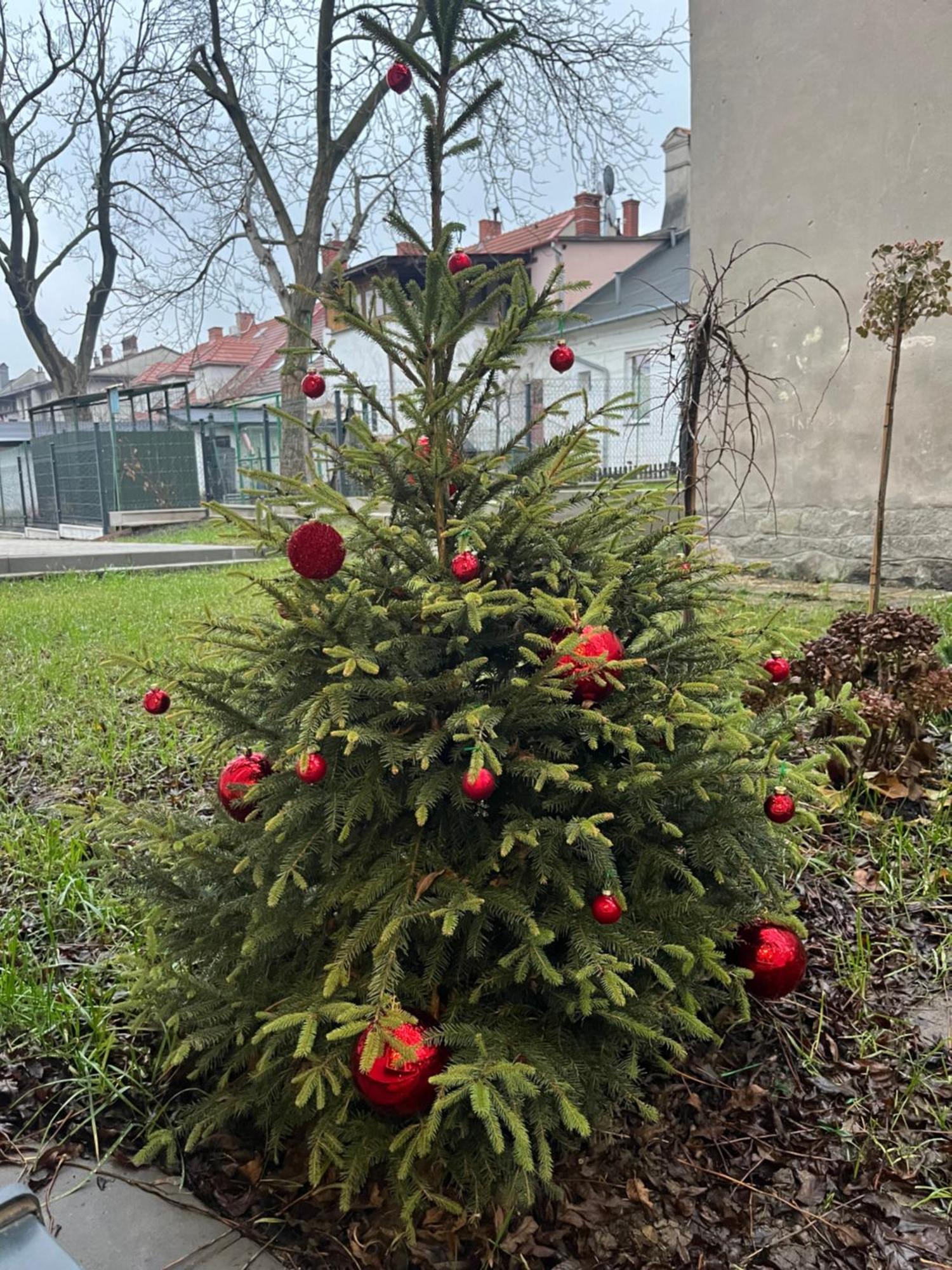 Apartament Kaszmirowy Bielsko-Biała Esterno foto
