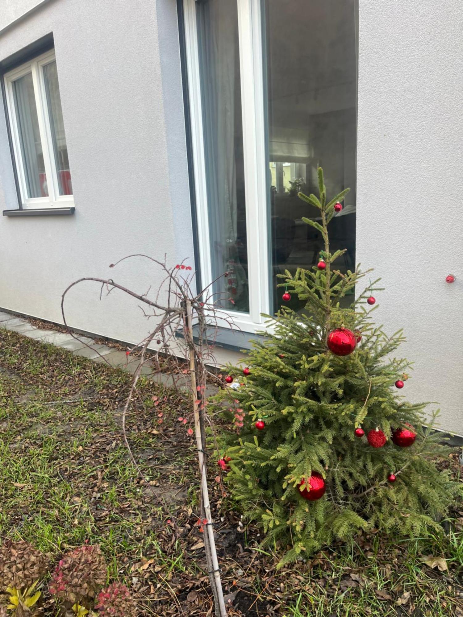 Apartament Kaszmirowy Bielsko-Biała Esterno foto