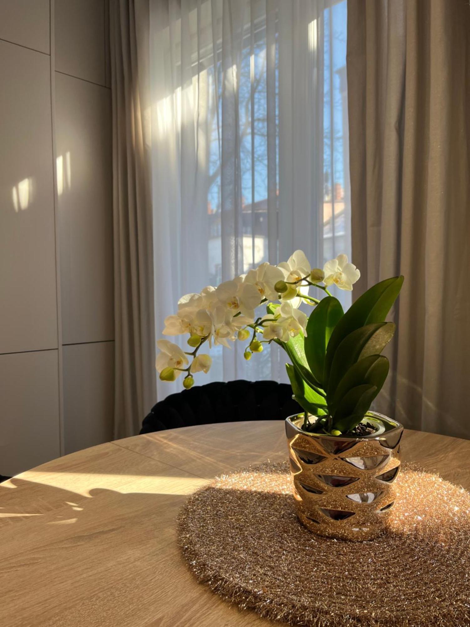 Apartament Kaszmirowy Bielsko-Biała Esterno foto