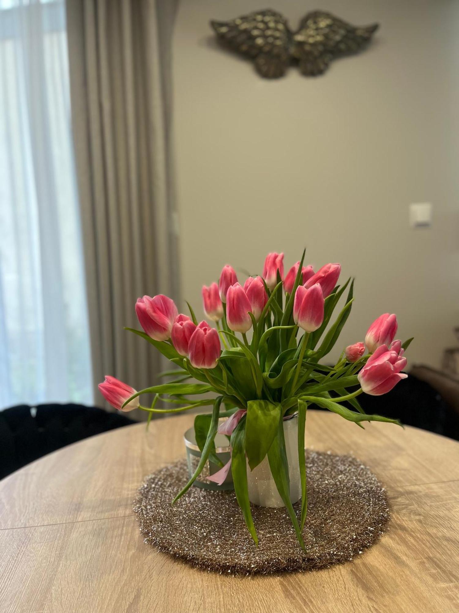 Apartament Kaszmirowy Bielsko-Biała Esterno foto